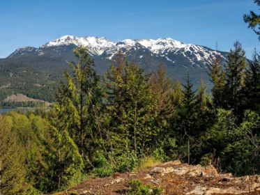 8377 Mountain View Drive, Whistler, BC, Whistler — Land for sale