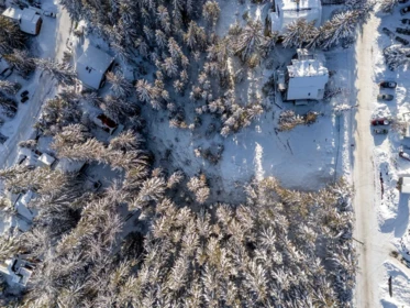 Loft / Bonus Room Photo of 8377 Mountain View Drive, Whistler, BC
