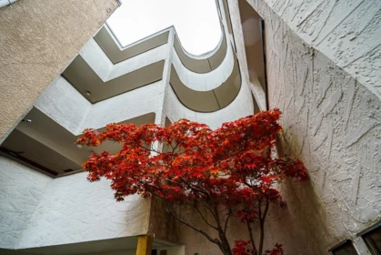 Fitness Center Photo Near PH5 936 Bute Street, Vancouver, BC