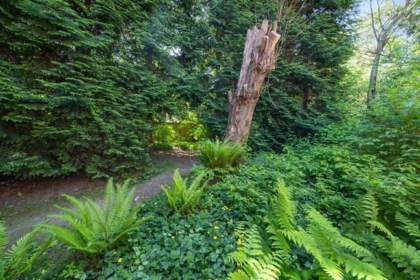 Street View Photo of 4384 Garden Grove Drive, Burnaby, BC