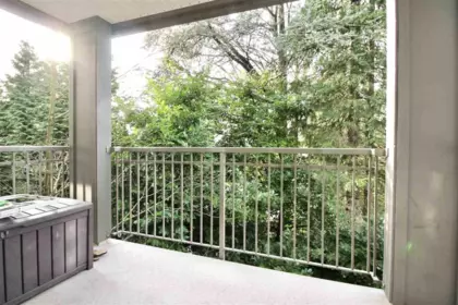 Basement Recreation Room Photo of 311 3388 Morrey Court, Burnaby, BC