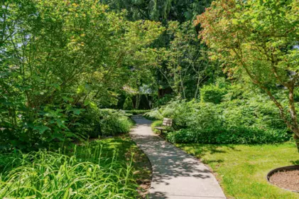 Garden / Landscaping Photo of 97 8737 212 Street, Langley, BC