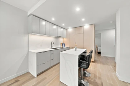 507 239 Keefer Street, Vancouver, BC, Vancouver — Apartment/Condo for sale