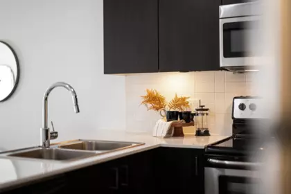 Pantry Photo of 416 20460 Douglas Crescent, Langley, BC