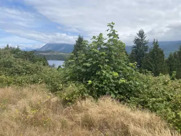 6159 Gale Ave South-Lot 17, Sechelt, BC, Sechelt — Land for sale