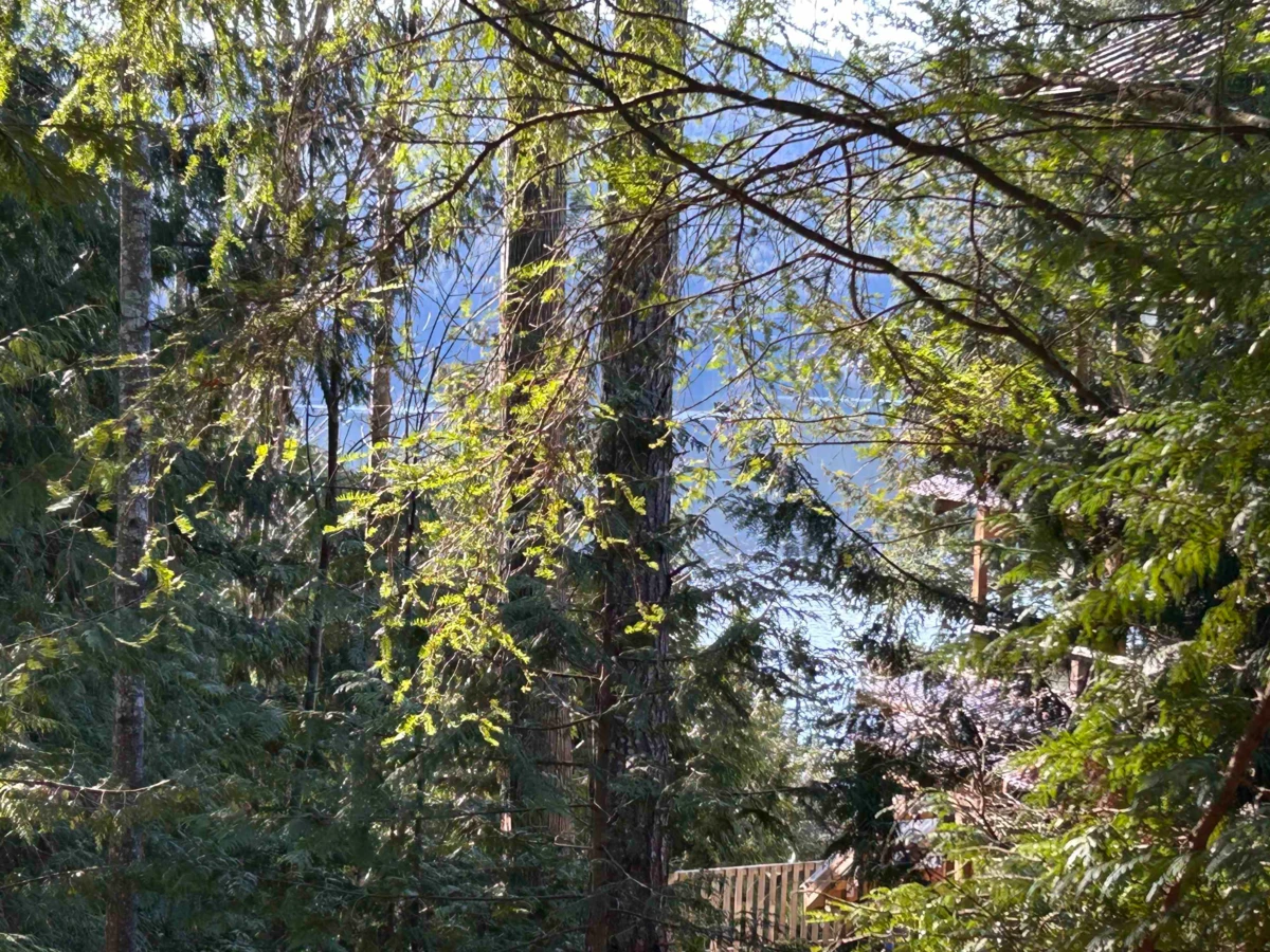 Exterior Front Photo of LOT 71 Klahanie Drive, Sechelt, BC