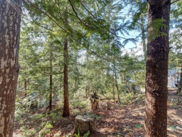 Family Room Photo of LOT 71 Klahanie Drive, Sechelt, BC