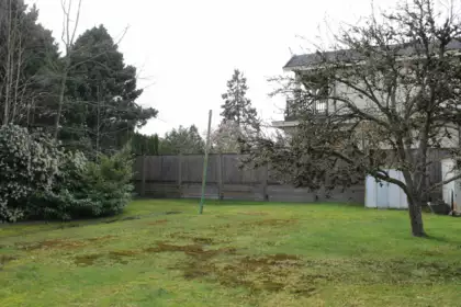 6740 Mang Road, Richmond, BC, Richmond — Single Family Residence for sale