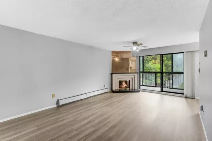 217 3901 Carrigan Court, Burnaby, BC, Burnaby — Apartment/Condo for sale