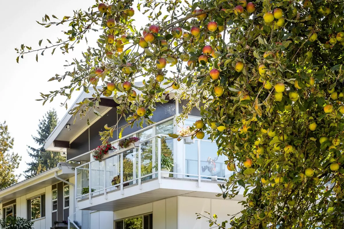 Family Room Photo of 11906 100 Avenue, Surrey, BC