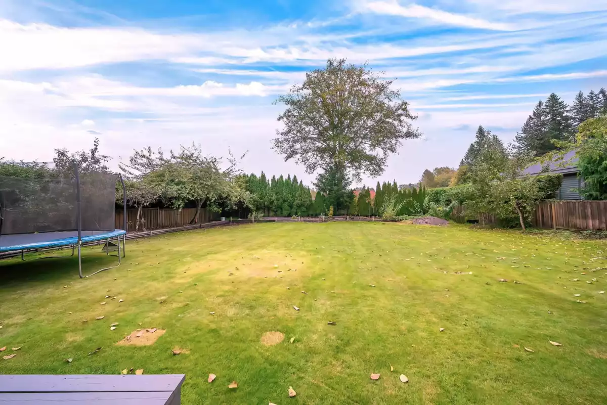 Neighborhood Park Photo Near 2250 134 Street, Surrey, BC