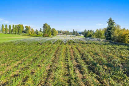 Primary Bedroom Photo of 1415 Clearbrook Road, Abbotsford, BC