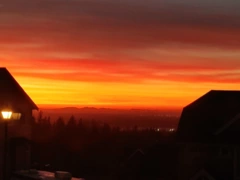 17 10480 248 Street, Maple Ridge, BC