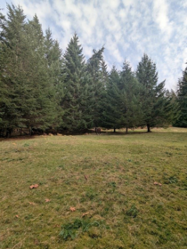 Lot 9 Mountain Road, Gambier Island, BC, Gambier Island — Land for sale