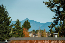 310 737 Hamilton Street, New Westminster, BC