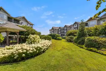 Backyard Photo of 429 19677 Meadow Gardens Way, Pitt Meadows, BC