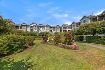 Front Yard Photo of 429 19677 Meadow Gardens Way, Pitt Meadows, BC