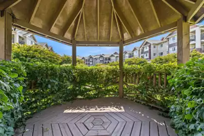 Swimming Pool Photo of 429 19677 Meadow Gardens Way, Pitt Meadows, BC