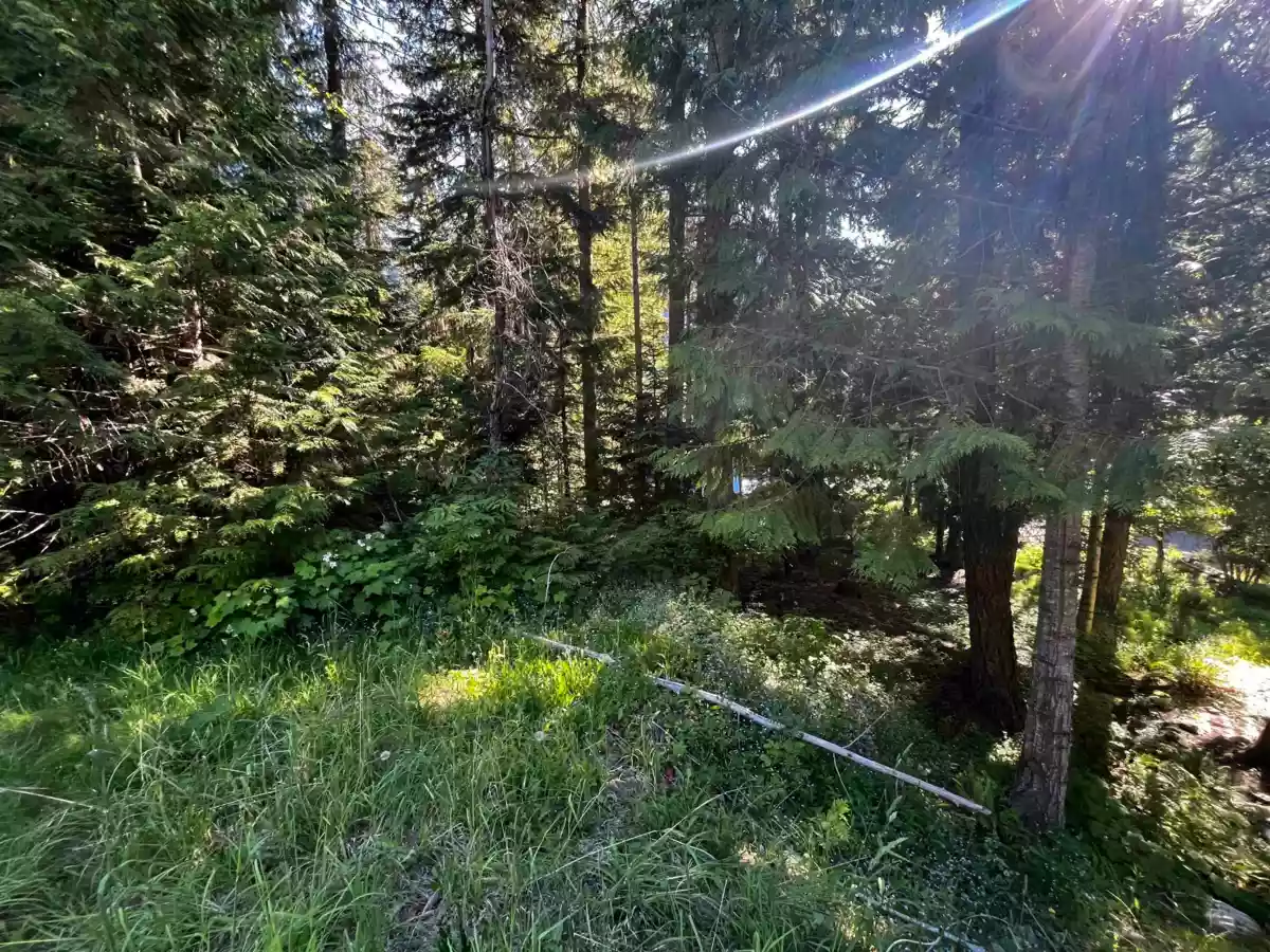 Dining Area Photo of 14902 Parkwood Street, Sunshine Valley, BC