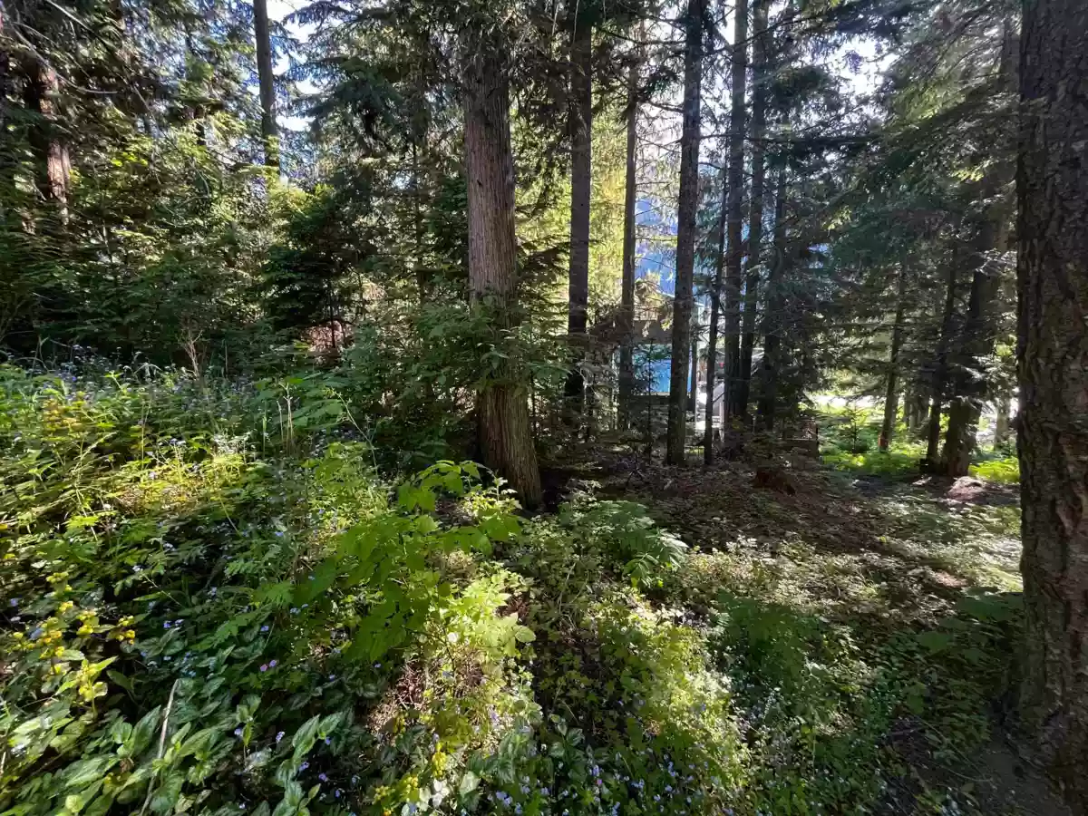 Kitchen Photo of 14902 Parkwood Street, Sunshine Valley, BC