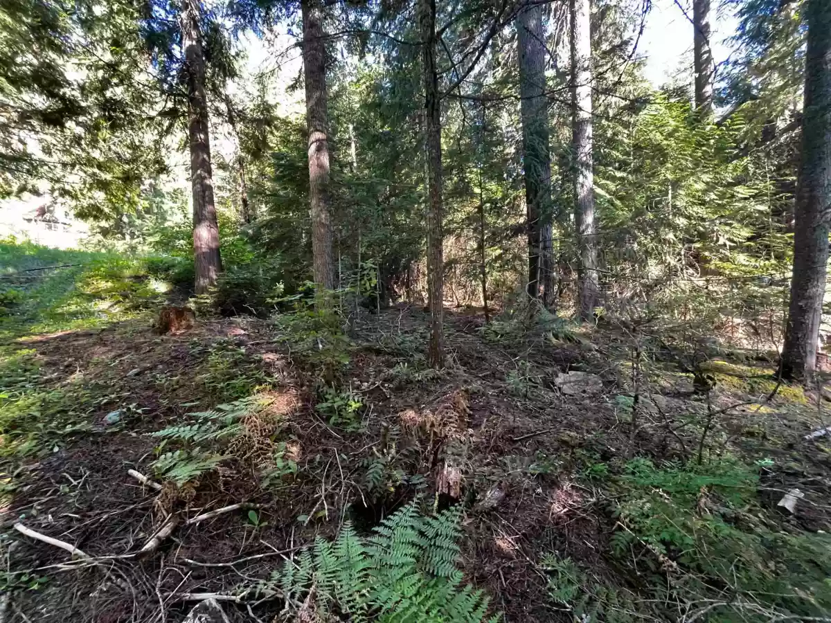 Pantry Photo of 14902 Parkwood Street, Sunshine Valley, BC