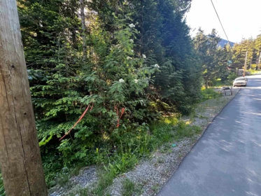 14902 Parkwood Street, Sunshine Valley, BC, Sunshine Valley — Land for sale