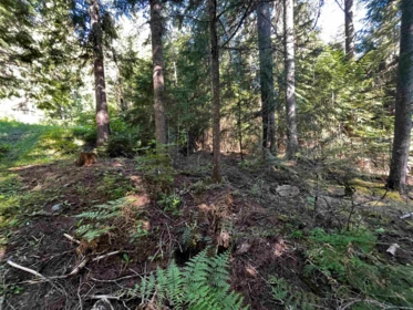 Pantry Photo of 14902 Parkwood Street, Sunshine Valley, BC