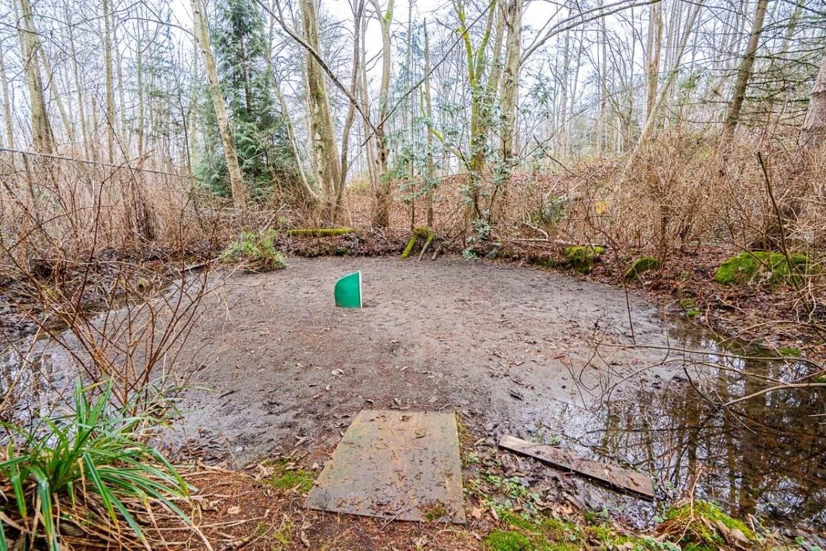 Swimming Pool Photo of 16114 20 Avenue, Surrey, BC