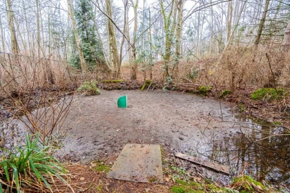 Swimming Pool Photo of 16114 20 Avenue, Surrey, BC