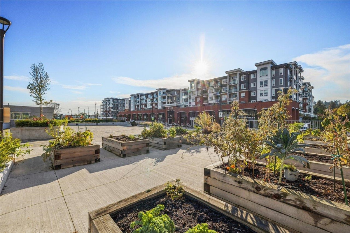 Neighborhood Park Photo Near 4602 2180 Kelly Avenue, Port Coquitlam, BC