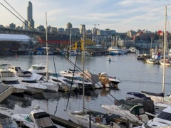 203 1008 Beach Avenue, Vancouver, BC