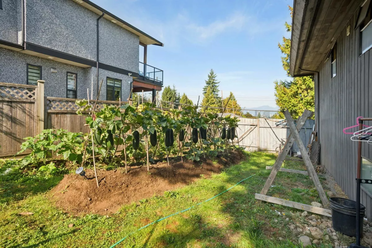 Outdoor Kitchen Photo of 7730 Stanley Street, Burnaby, BC
