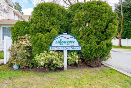 Front Yard Photo of 24 11870 232 Street, Maple Ridge, BC