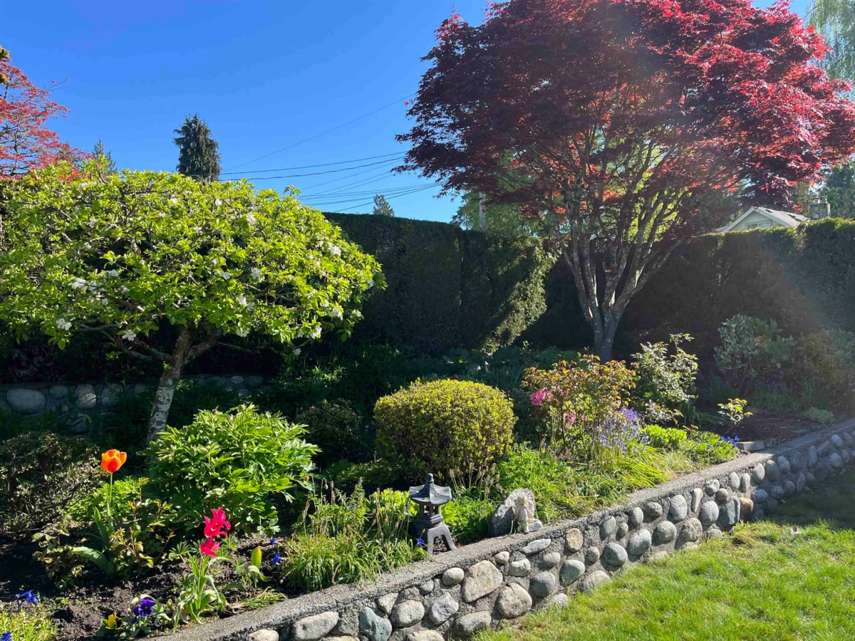 Exterior Rear Photo of 1405 20th Street, West Vancouver, BC