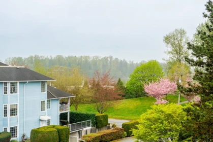 Staircase Photo of 318 22514 116 Avenue, Maple Ridge, BC