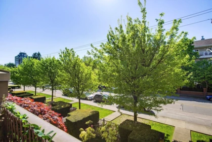 Loft / Bonus Room Photo of 206 12238 224 Street, Maple Ridge, BC