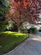 8251 Leslie Road, Richmond, BC