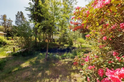 Backyard Photo of 5819 Trout Lake Road, Halfmoon Bay, BC