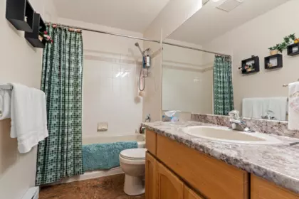 Laundry Room Photo of 54 3110 Trafalgar Street, Abbotsford, BC