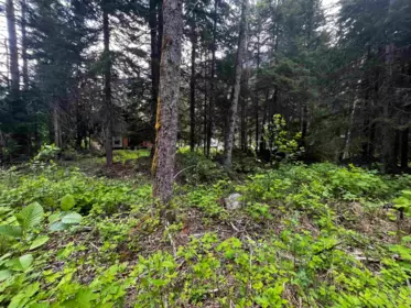 SVE25 Old Hope Princeton Highway, Sunshine Valley, BC, Sunshine Valley — Land for sale