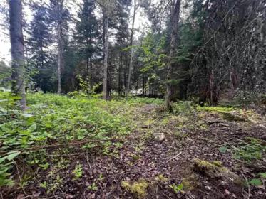 SVE25 Old Hope Princeton Highway, Sunshine Valley, BC, Sunshine Valley — Land for sale