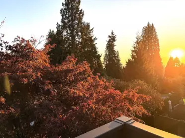 Hot Tub / Spa Photo of 336 E 26th Street, North Vancouver, BC