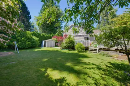 Backyard Photo of 856 55a Street, Delta, BC