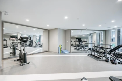 Aerial View of 202 615 Cottonwood Avenue, Coquitlam, BC