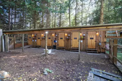 Outdoor Deck Photo of 1302 Adams Road, Bowen Island, BC