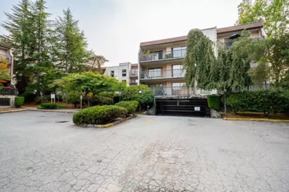 Backyard Photo of 209 15238 100 Avenue, Surrey, BC