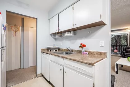 Pantry Photo of 209 15238 100 Avenue, Surrey, BC