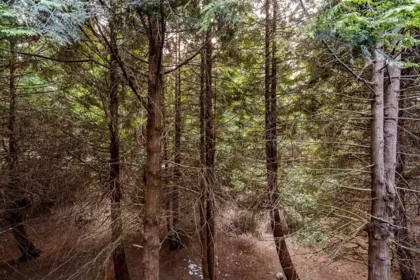 Staircase Photo of 209 15238 100 Avenue, Surrey, BC