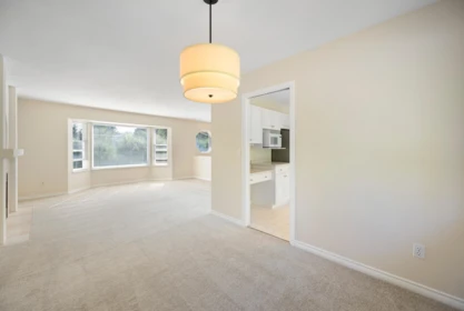 Pantry Photo of 4995 202a Street, Langley, BC