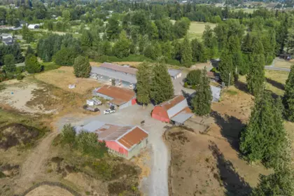 2481 Lefeuvre Road, Abbotsford, BC, Abbotsford — Single Family Residence for sale